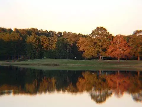 74 Forest Holw, Trinity, TX 75862 photo 5