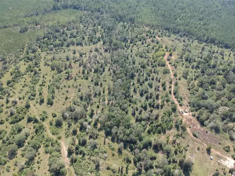 4 Private Road 8385, Spurger, TX 77660 photo 4