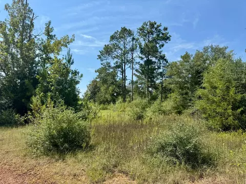 4 Private Road 8385, Spurger, TX 77660 photo 5