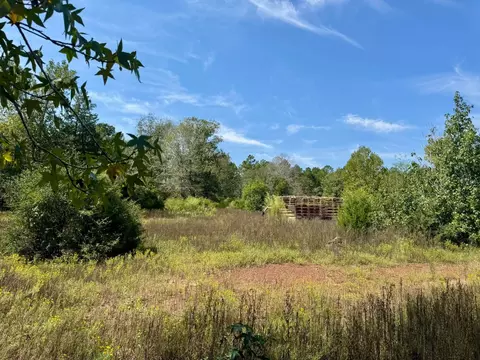 4 Private Road 8385, Spurger, TX 77660 photo 6
