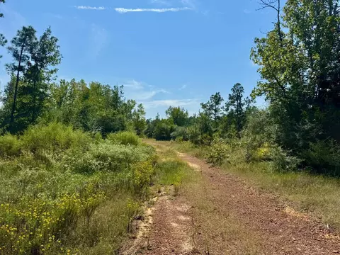 4 Private Road 8385, Spurger, TX 77660 photo 8