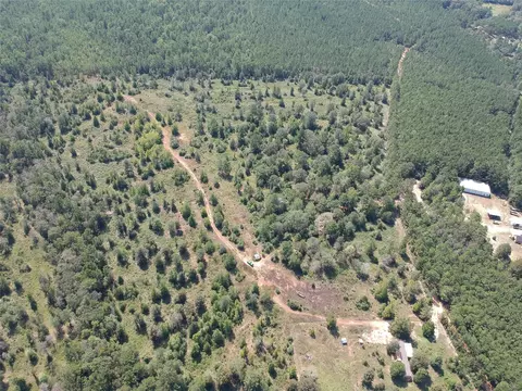 4 Private Road 8385, Spurger, TX 77660 photo 2