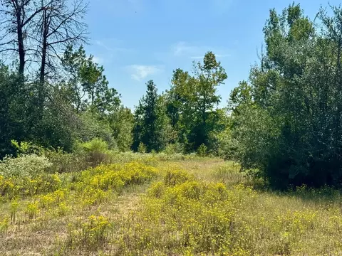 4 Private Road 8385, Spurger, TX 77660 photo 9