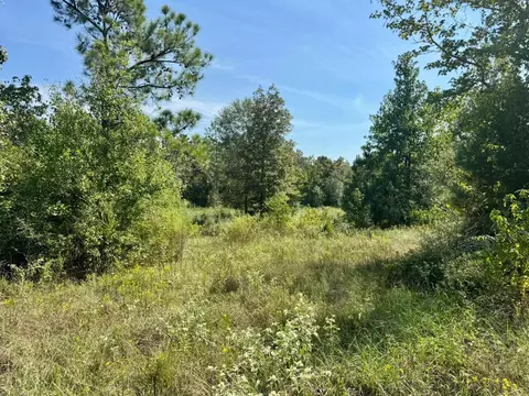 4 Private Road 8385, Spurger, TX 77660 photo 7