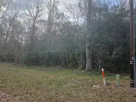 0 Winding Creek Dr, Shepherd, TX 77371