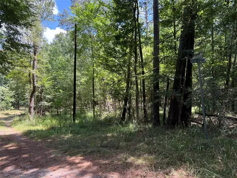 415 Rio Vista Dr, Livingston, TX 77352