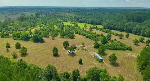 81363 George Sanner Rd, Village Mills, TX 77663