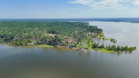 221 Foster Cv, Pineland, TX 75968