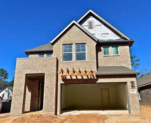 254 Brecon Buff Dr, Willis, TX 77318 photo 1