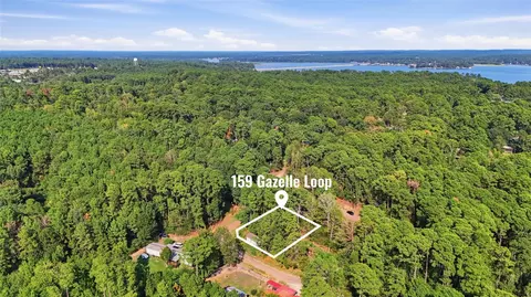 159 Gazelle Loop, Onalaska, TX 77360 photo 2