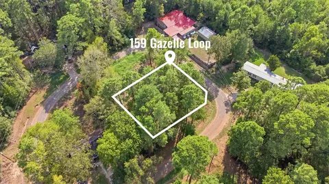 159 Gazelle Loop, Onalaska, TX 77360 photo 3