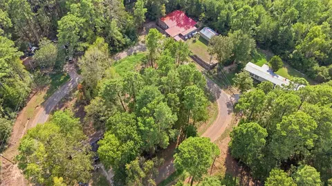 159 Gazelle Loop, Onalaska, TX 77360 photo 6