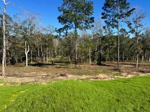 Tdb Lot 29 Addison Rd, Livingston, TX 77351