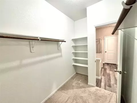 Other - 23663 Rainbow Eucalyptus Dr, Spring, TX 77373 photo 5 of 8