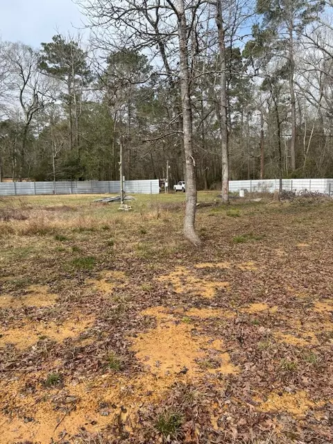41 Deer Run Rd, Shepherd, TX 77371 photo 5
