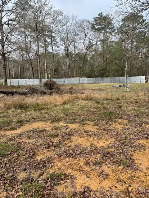 41 Deer Run Rd, Shepherd, TX 77371 photo 4