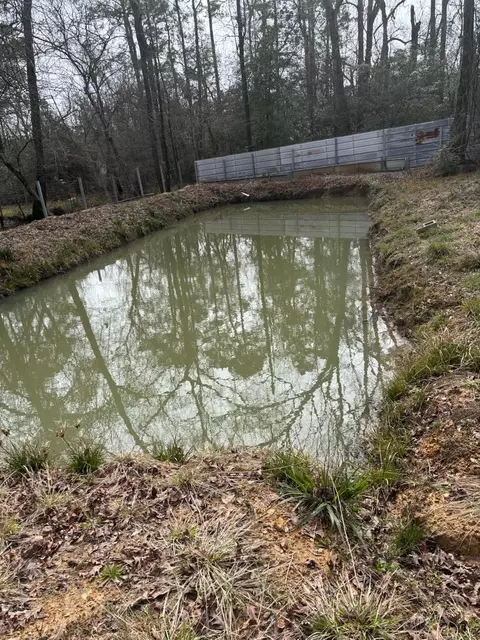 41 Deer Run Rd, Shepherd, TX 77371
