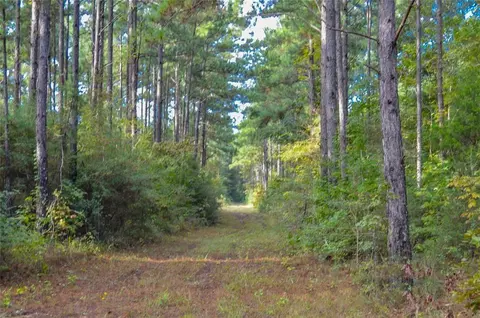 000 Fm 223, Shepherd, TX 77371