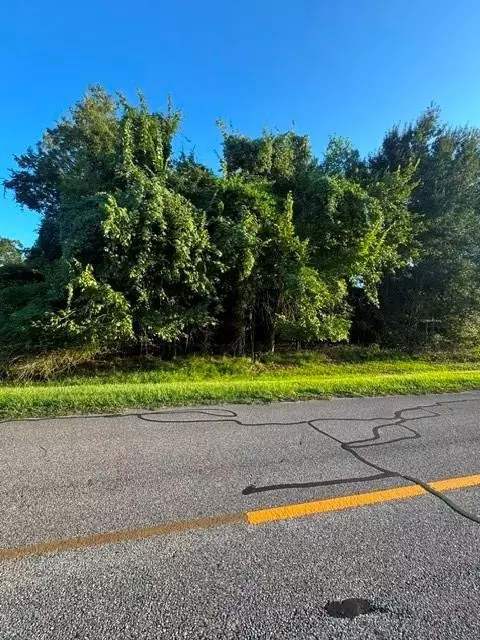 1103 W Point Dr, Rosharon, TX 77583
