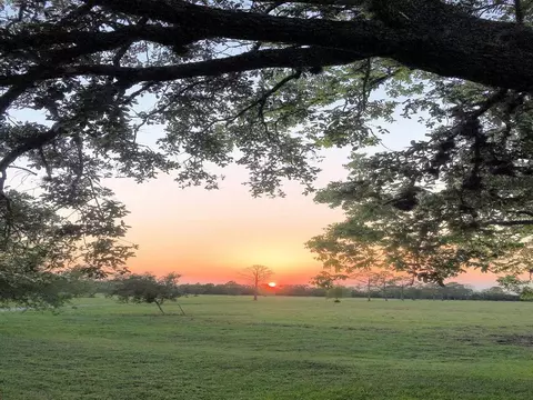 2356 Cunningham Rd, Wallis, TX 77485 photo 1