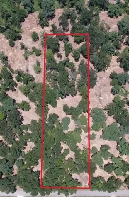 000 Crowley Rd, Conroe, TX 77306 photo 2