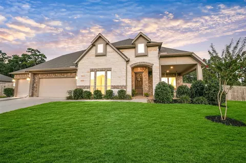 12219 Seagrape Ln, Conroe, TX 77304 photo 1