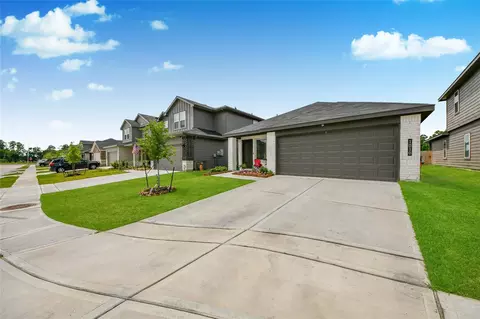1010 Muscadine Vine Ln, Houston, TX 77090