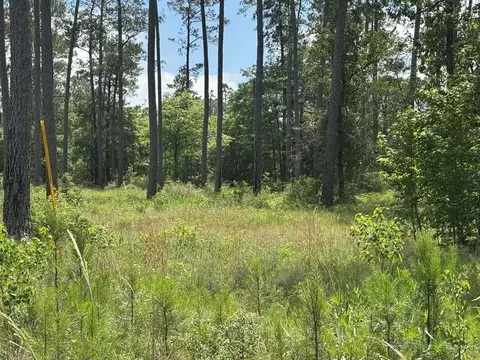 008 Private Road 6028 Tract 1-8, Brookeland, TX 75931