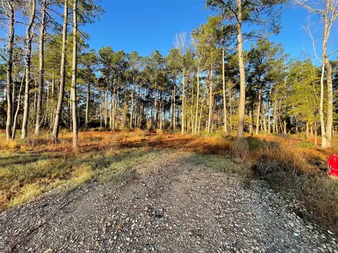 11303 Annie Creek Dr, Willis, TX 77378