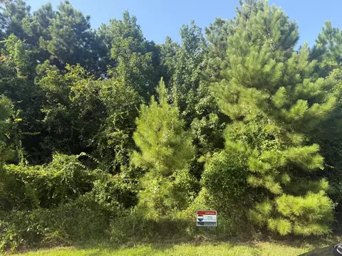 2303 County Road 3405, Cleveland, TX 77327