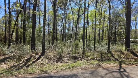 0 Firewood Dr, Conroe, TX 77303