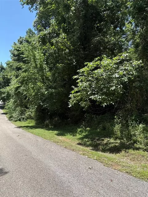 tbd Lake Dr, Onalaska, TX 77360