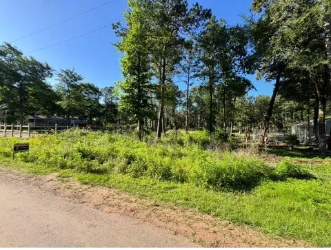 8020 Tawnyberry Ln, Plantersville, TX 77363