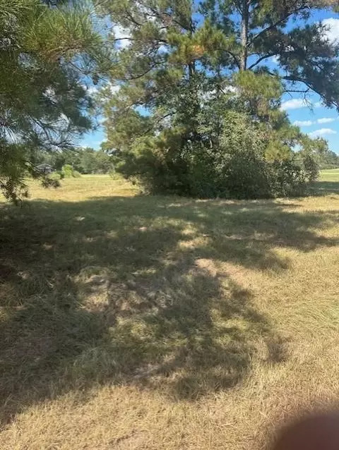 lot16 Long Iron, Trinity, TX 75862 photo 26
