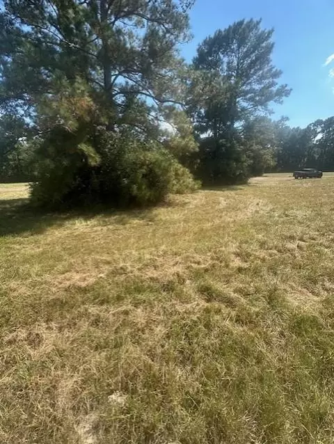 lot16 Long Iron, Trinity, TX 75862 photo 29