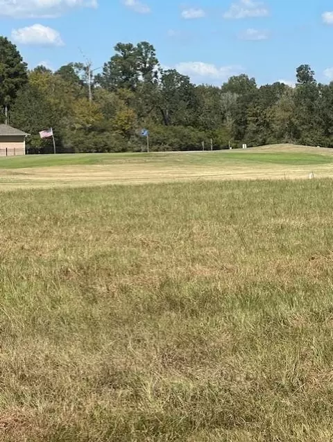 lot16 Long Iron, Trinity, TX 75862 photo 28