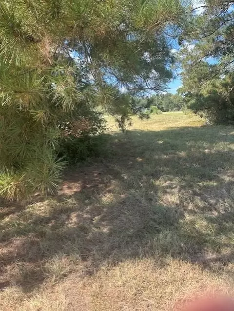 lot16 Long Iron, Trinity, TX 75862 photo 27