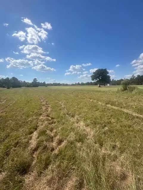 lot16 Long Iron, Trinity, TX 75862 photo 30