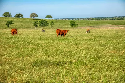 5005 Fuchs Rd, Burton, TX 77835