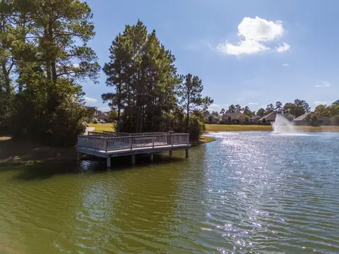View/Area - 12276 Emerald Mist Ln, Conroe, TX 77304 photo 3 of 7