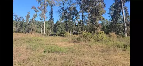 Tract C-3 Gaff Road, Magnolia, TX 77355
