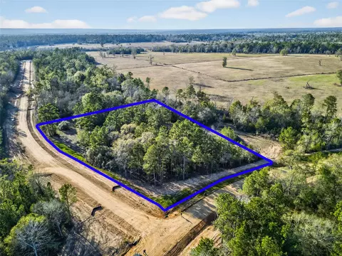 100 Remington Ct, Coldspring, TX 77331