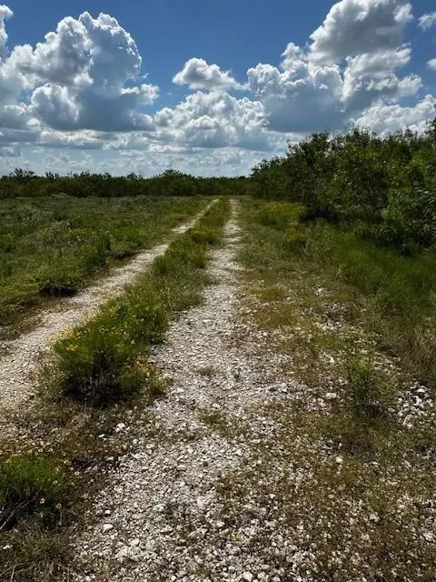 Tr 11 Private Road, Waelder, TX 78959