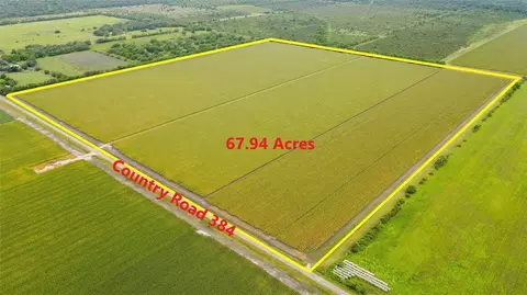 000 County Road 384, Louise, TX 77455