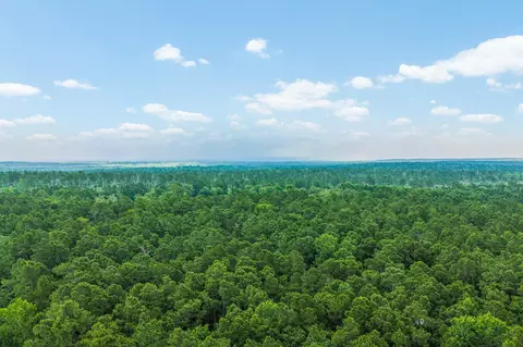 5772 Pr 2065, Centerville, TX 75833 photo 35