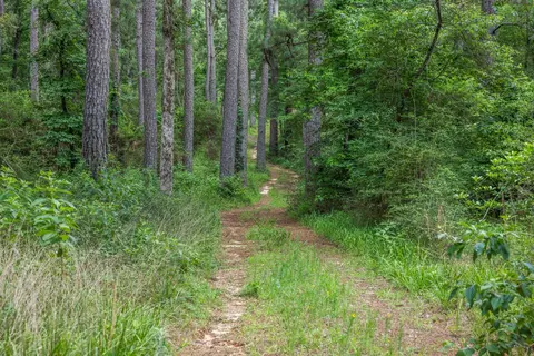 5772 Pr 2065, Centerville, TX 75833 photo 22