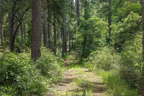 5772 Pr 2065, Centerville, TX 75833 photo 7