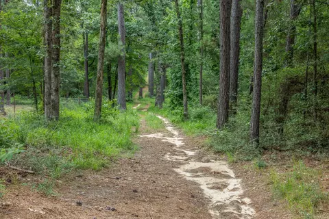 5772 Pr 2065, Centerville, TX 75833 photo 24