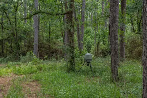5772 Pr 2065, Centerville, TX 75833 photo 16