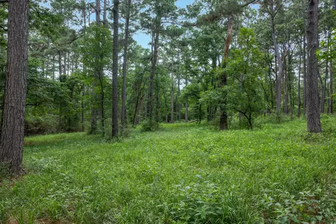5772 Pr 2065, Centerville, TX 75833 photo 19